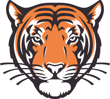 Tiger Car Wash and Tiger Storage Logo