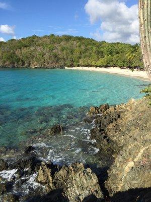 USVI St. John's some of the most beautiful beaches and water in the world.