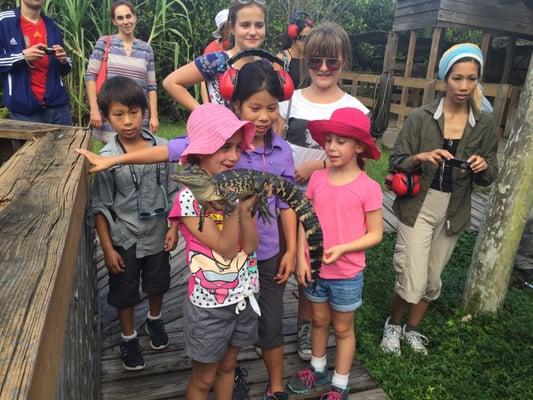 Some of our little tour guests visiting a gator on a Miccosukee Hardwood Hammock used for rescuing Everglades animals.