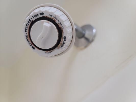 This is where the mold build up shot out of the mold filled shower head