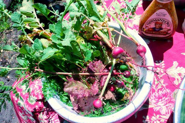 Squarefoot Gardening Enrichment Class