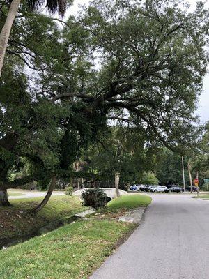 Most of the neighbors walk to this neighborhood park, but there is a small parking area for cars.