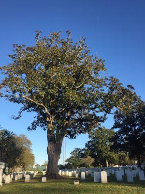 Baton Rouge National Cemetery