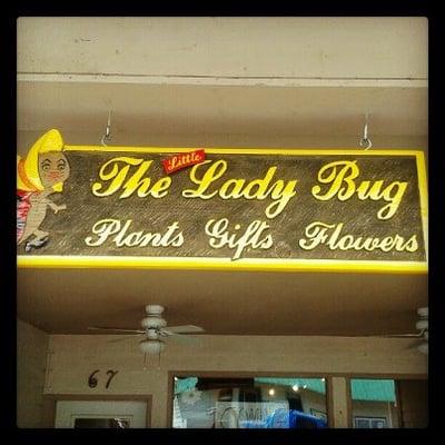 The Little Ladybug Flower Shop