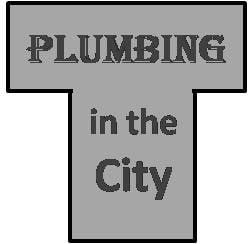 Detroit Plumbing Service