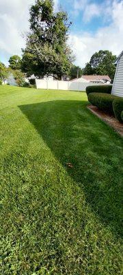 Lawn care services and trimming