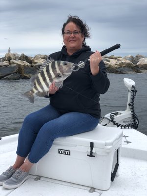 Sheepshead Are Biting!