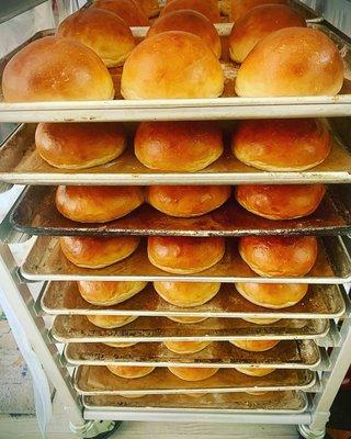 Brioche Buns