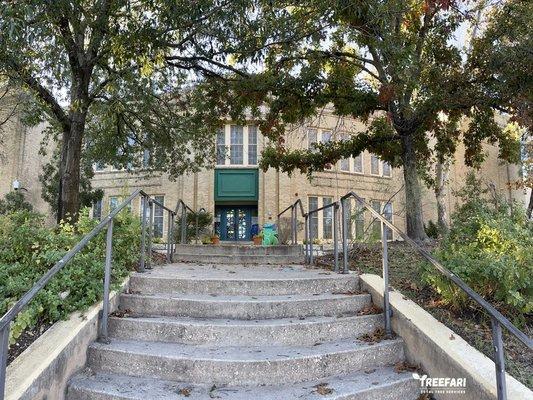 Elementary school tree pruning and trimming at Clarksville, Austin.