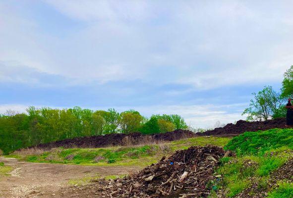 Skunk Hollow-- Community Garden