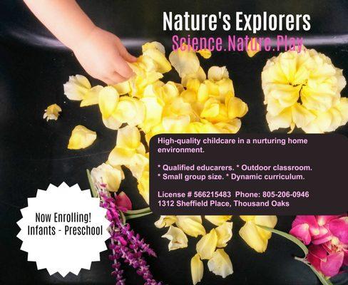 Nature's Explorers Childcare & Preschool