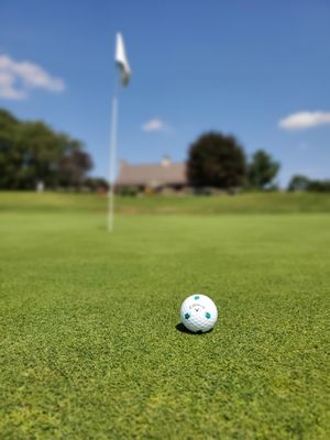 Callaway Truvis Logo Ball