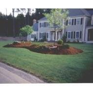 G W Dempsey Jr Landscape & Property Maintenance