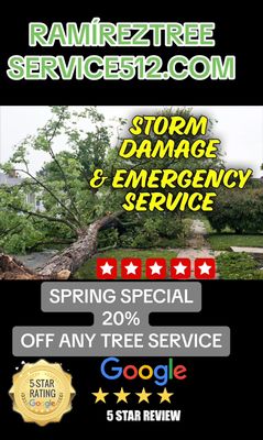 SPRING SPECIAL
20%
OFF ANY TREE SERVICE