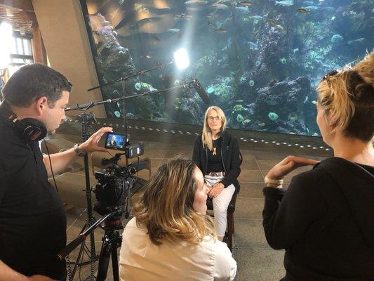 Seattle Aquarium filming