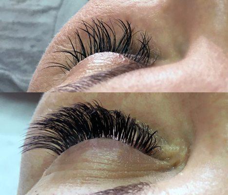 Stesha's Studio Eyelash Extension Refill, Scottsdale