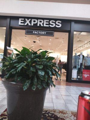 Express Factory Outlet