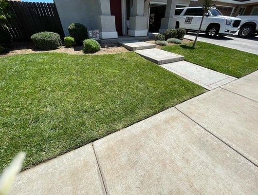 Lawn maintenance