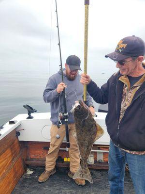 California halibut