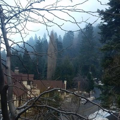 View from my window of Tudor House and the foggy forest