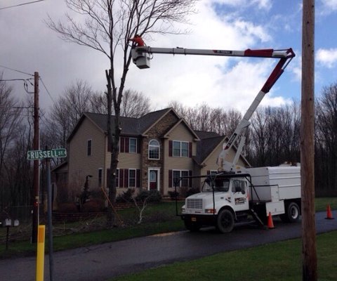 65' Terex XT bucket truck on International truck, Forestry package.