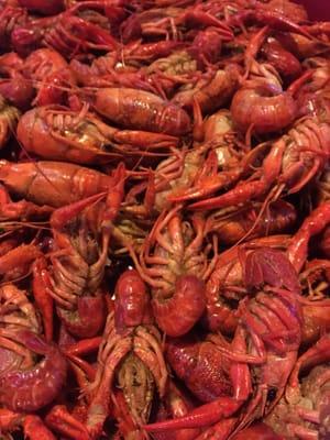 Crawfish!