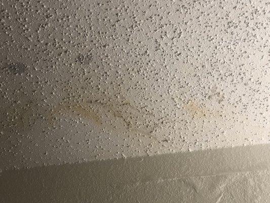 Ceiling leaks