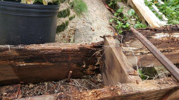 All joists had to be replace, 22 ft. joists