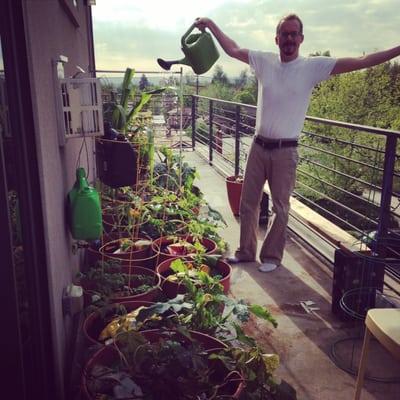 Tomato Tom on our deck.  Check it out on YouTube at "Denver Earthbox Deck garden"