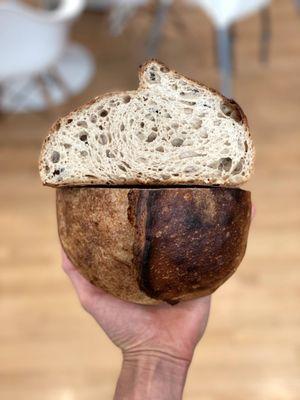 The Morning Boule