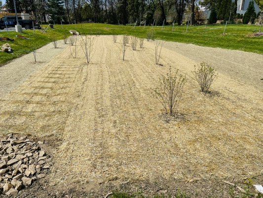 BASIN: grass seed, erosion control matting