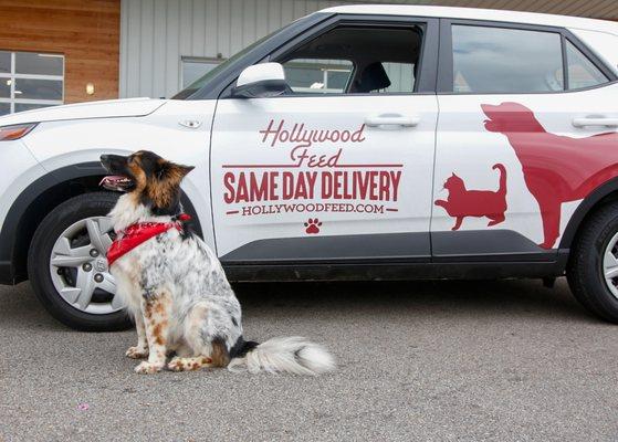 Hollywood Feed Same Day Delivery