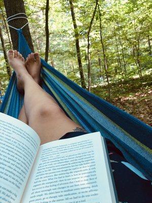 Lots of hammock space on the campsites.