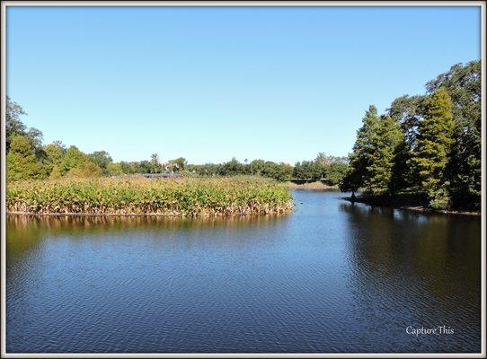 Glen Oaks park (Lakeview by Todd.G)