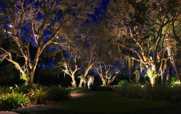 Landscape Lighting