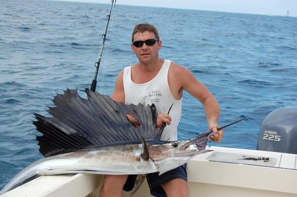 Sailfish 01-10-11