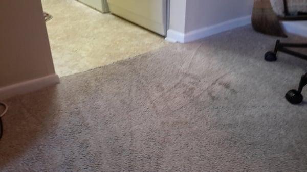 "Professionally cleaned" carpets. "Stains resurface, you know"