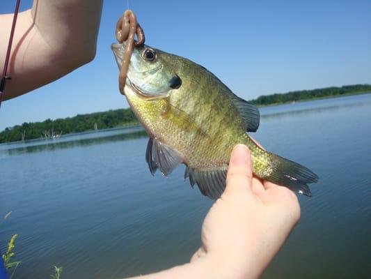 2nd catch of the day - 7.4.11