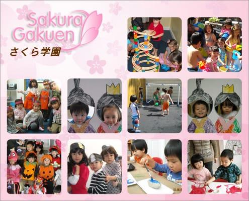 Sakura Nursery LLC