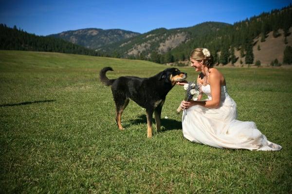 Wedding Photography Missoula MT