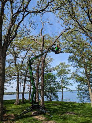 Removing an Oak that died of Oak Wilt with our state of the art Leguan Spider Lift on White Bear Lake, in Dellwood MN.  May 2023