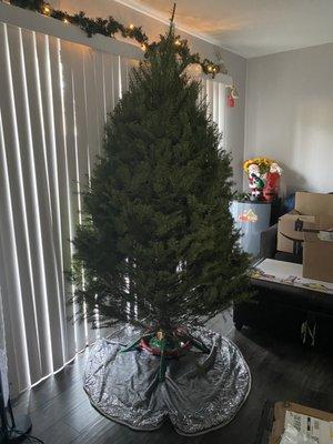 One of their beautiful 7-8 ft Noble fir tree's. Smells amazing and is extremely reasonably priced!