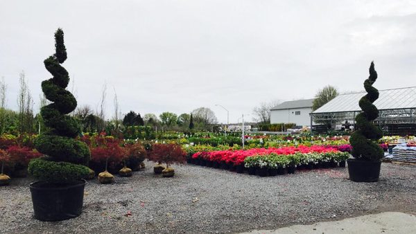 Lehigh Valley's Largest Selection of Nursery