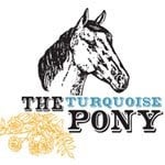 The Turquoise Pony