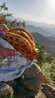 Chicken and Waffle sandwich