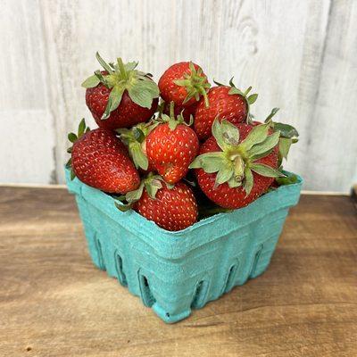 Farm fresh strawberries are a hit at our farm, sweet and delicious! U-pick available by appt only.