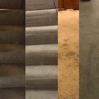 Priority Carpet Cleaning