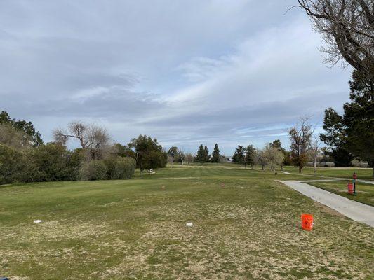 The fairways looking a little rough