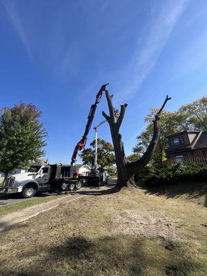 Large hazardous removal with the crane at the assisted with the bucket truck.