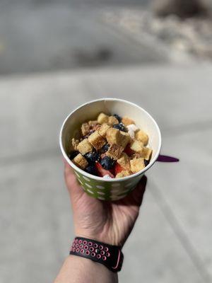 Tart frozen yogurt with strawberries, blueberries, cheesecake bites, and Mochi